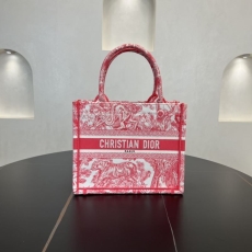 Christian Dior Shopping Bags